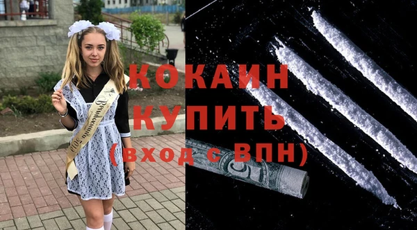 гашик Россошь