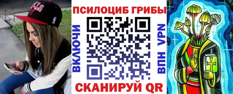 Псилоцибиновые грибы Psilocybe  блэк спрут маркетплейс  Билибино 